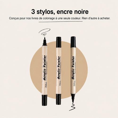 3 Stylos à double pointe